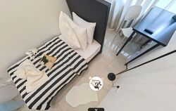 Bishan 8 (D20), Condominium #610139741